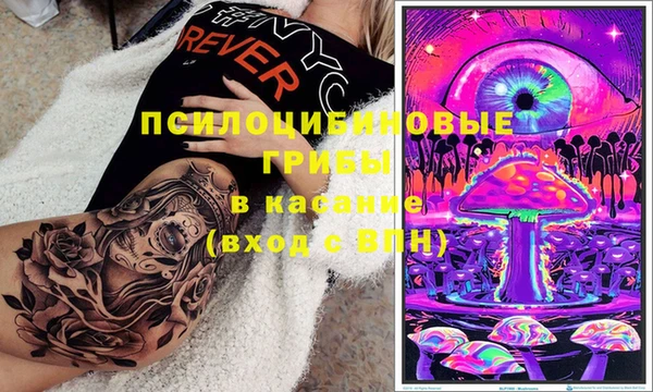 сатива Нязепетровск