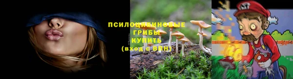 крисы Фёдоровский