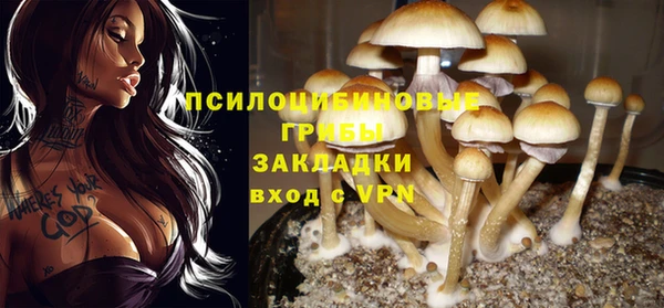 a pvp Няндома