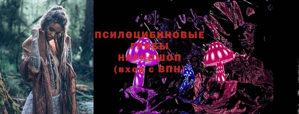 a pvp Няндома