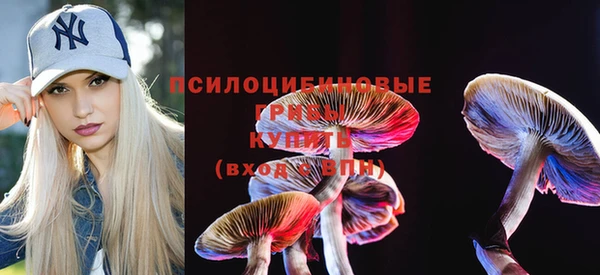 мдпв Гусиноозёрск