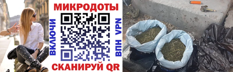 купить  сайты  Кыштым  Псилоцибиновые грибы мицелий 