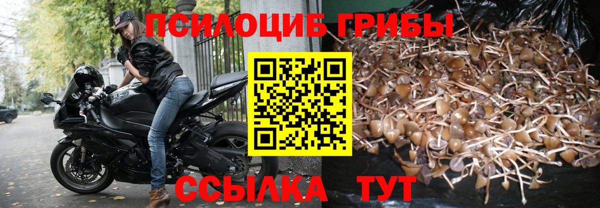 Псилоцибиновые грибы Magic Shrooms  Кыштым 