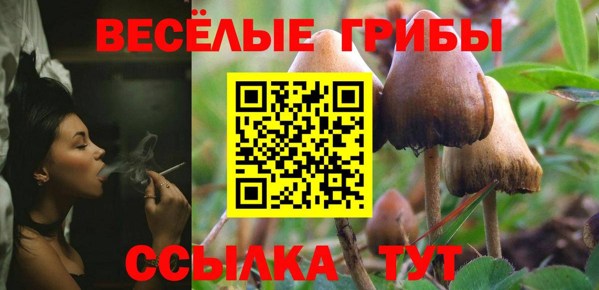 Псилоцибиновые грибы Psilocybine cubensis Кыштым