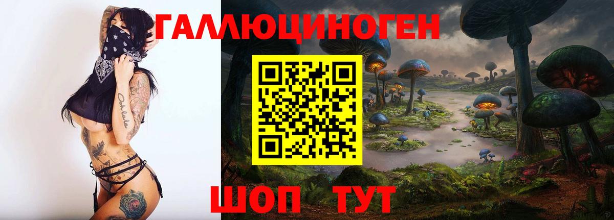 Галлюциногенные грибы GOLDEN TEACHER Кыштым