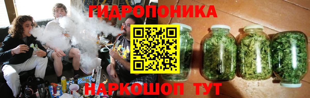 Шишки марихуана ГИДРОПОН Кыштым